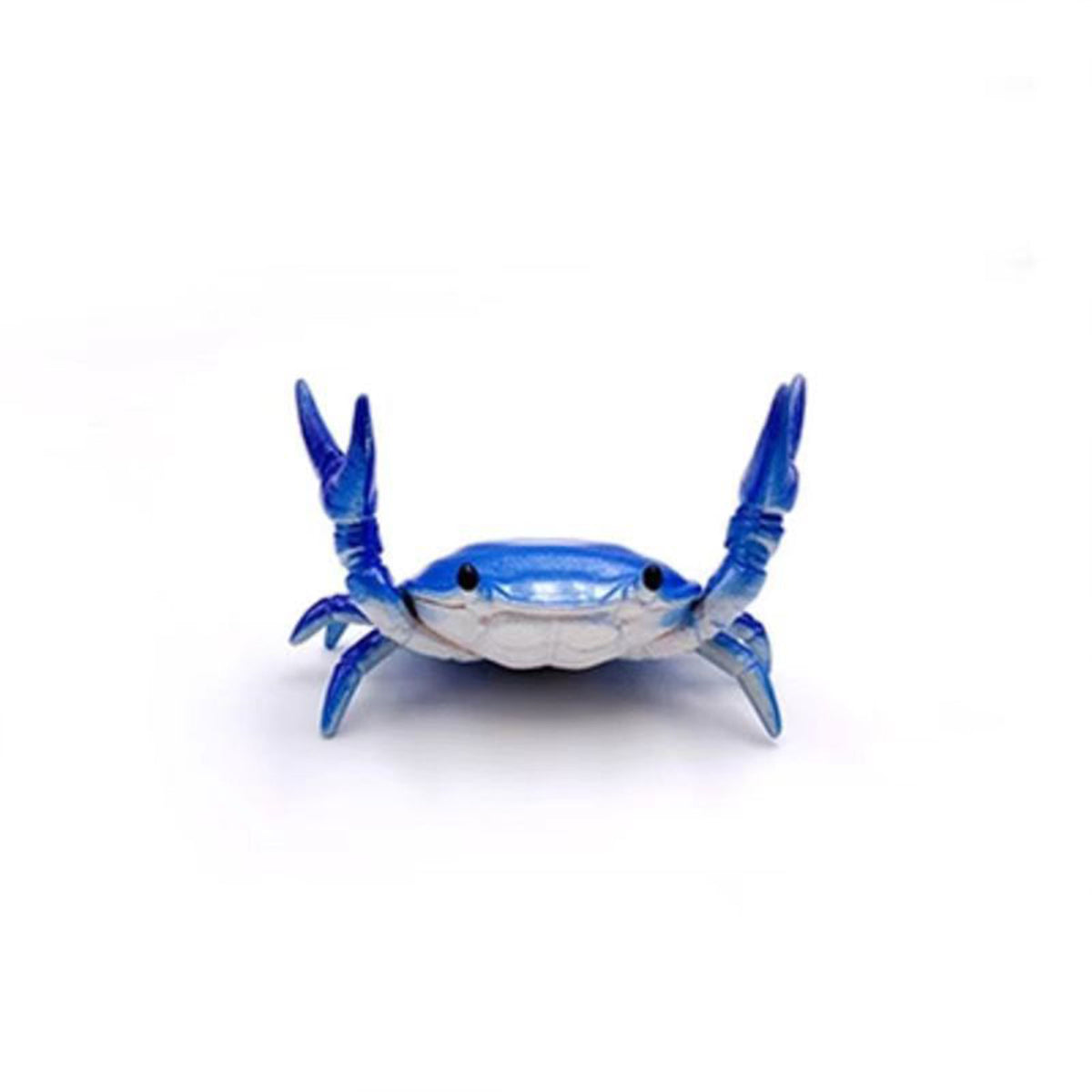 Ocean blue Japanese crab pencil stand with raised claws on white background