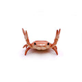 Red weightlifting crab pen holder standing upright on pure white background